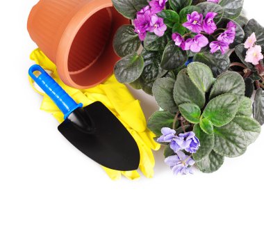 Bahçe aletleri ile mor çiçekler