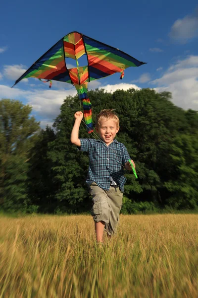 Jongen uitgevoerd met vliegende kite — Stockfoto