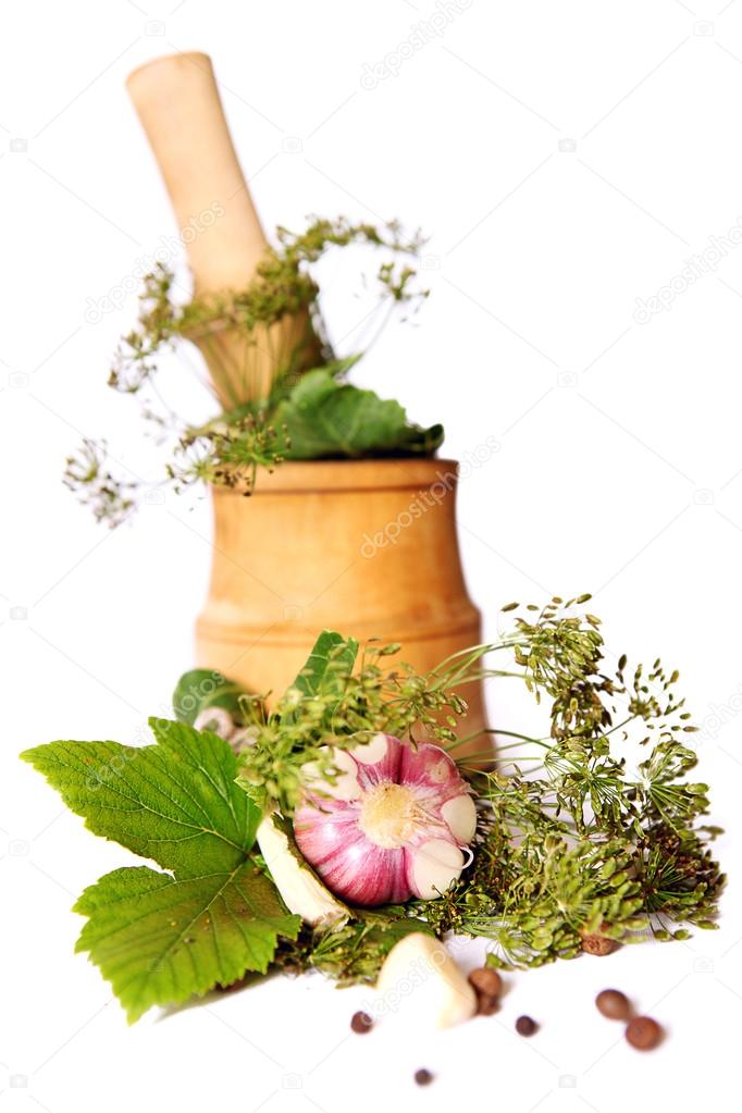 Beam of herbs with garlic head
