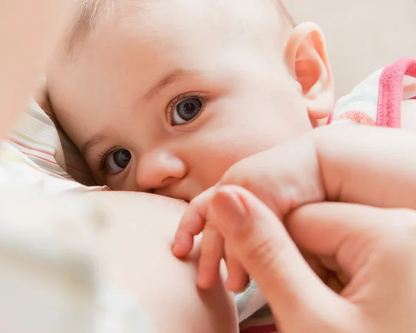 授乳中の赤ちゃん ロイヤリティフリーのストック写真