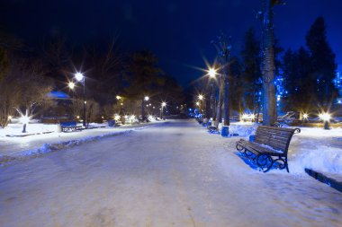 Sessiz gece kış park sokakta