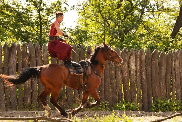 Trick on the galloping horse — Fotografie, imagine de stoc