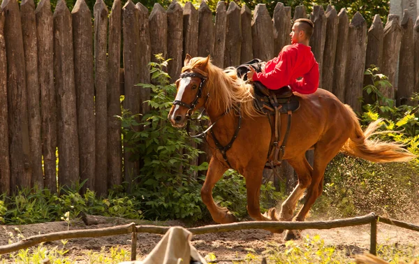 Truc op het galopperende paard — Stockfoto