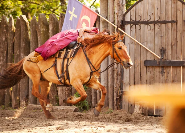 A skilled horse rider shows a risk trick — Stock Photo, Image