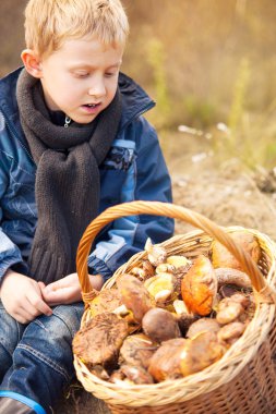 küçük mashroom seçici