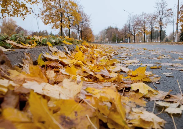 Herbst in der Stadt — Stockfoto