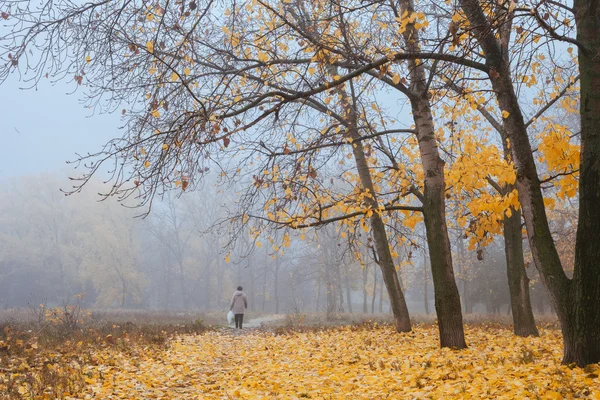 Verschwinden im Nebel — Stockfoto