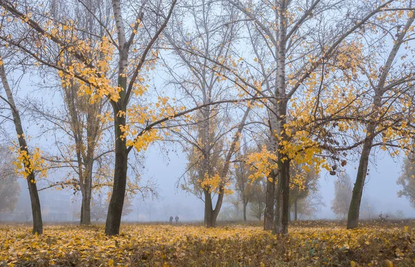 Теплая осень: утренний туман — стоковое фото