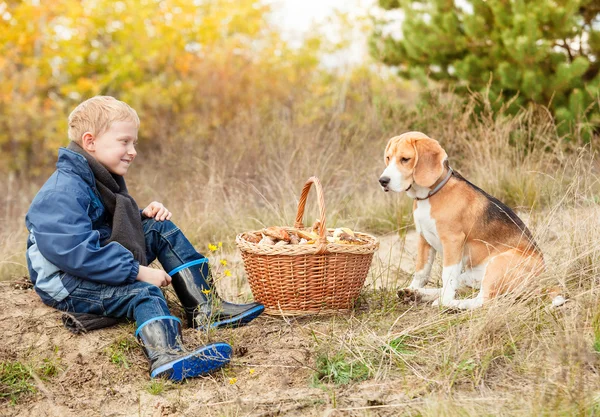 Lucky mushroom picking — Stock Photo, Image