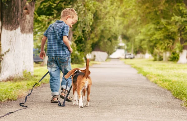Μικρό αγόρι περπάτημα με τον καλύτερο φίλο του-λαγωνικό κουτάβι — Φωτογραφία Αρχείου