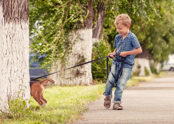 Ragazzino camminare il suo cucciolo — Foto Stock