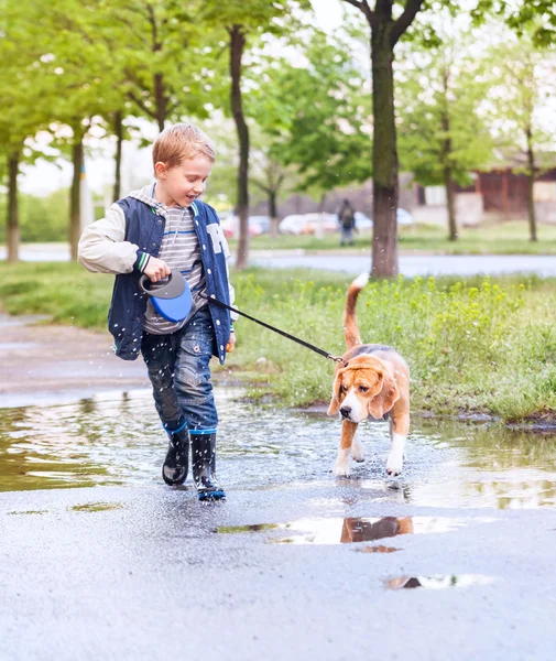 Little boy with puppy — Stock Photo, Image