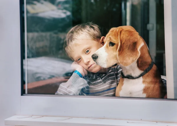 Sorg liten pojke med hund — Stockfoto