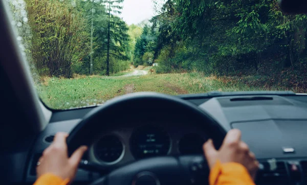 Řidič Oblečený Jasně Oranžová Bunda Jízdy Moderní Road Levostranný Disk — Stock fotografie