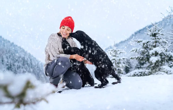 暖かい服を着た若い女性が絵のように美しい雪の山の屋外で彼女の2匹の犬を歩く ペットと遊んでいる女性と 飼い主の頬を舐めている犬がいます — ストック写真
