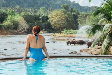Yüzme havuzunda dinlenen ve Pinnawala Fil Yetimhanesi 'nde su hortumlayan genç fil sürüsünü izleyen bir kadın..