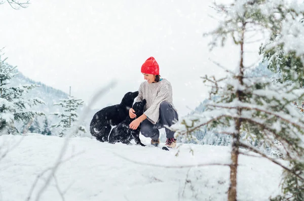 暖かいニットの服を着た若い女性が 絵のように美しい雪の山の屋外で2匹の犬を歩いています 女性は笑顔でペットと遊ぶ 人間とペットの冬のコンセプトイメージ — ストック写真