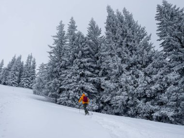 Yalnız dağcı parlak turuncu yumuşak kabuklu ceketini giymiş, çam ağaçları arasındaki karlı tepeye çıkıyor. Velky Krivan, SLovakya Tatry 'deki aktif insanlar konsept imajı.