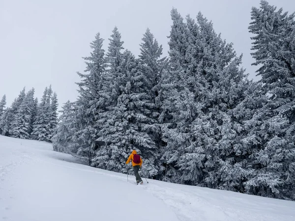 Eenzame Bergbeklimmer Gekleed Helder Oranje Softshell Jas Gaan Besneeuwde Heuvel — Stockfoto