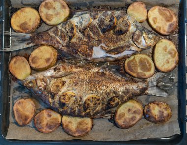 Just baked freshwater bream fish cooked with fresh rosemary and species with sliced lemons fruits and served with potato on the cooking Sheet pan. Tasty food background.
