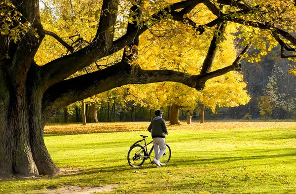 Młody Chłopiec Spacerujący Rowerem Jesiennym Parku Pod Olbrzymią Lipą Jesienny — Zdjęcie stockowe