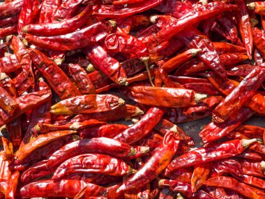 Kurutulmuş kırmızı biberli sıcak arka plan. Gıda, uluslararası mutfaklar ve dünya çapında seyahat kavramı.