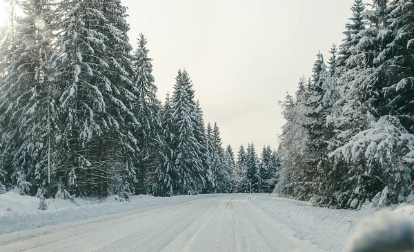 Estrada Nevada Que Conduz Através Floresta Abeto Inverno Imagem Conceito — Fotografia de Stock