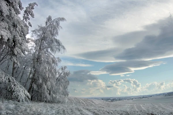 Winterdag — Stockfoto