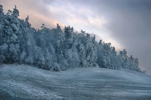 겨울 날 — 스톡 사진