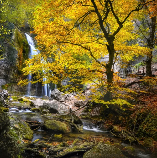 Wasserfall im Herbst-3 Stockbild
