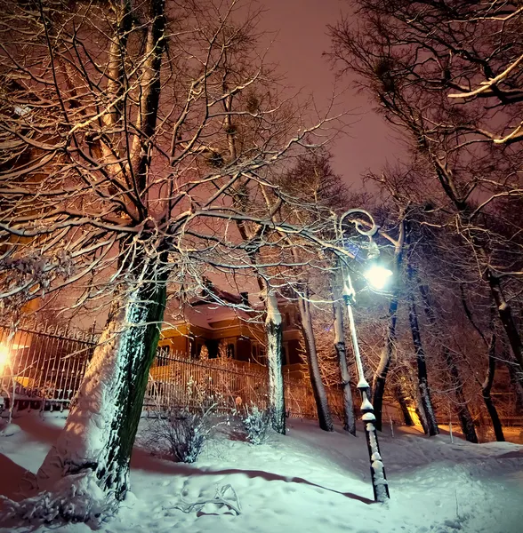 Фонарь в парке ночью — стоковое фото