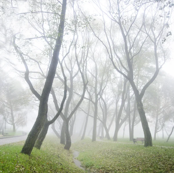 Geheimnisvoller Nebel — Stockfoto