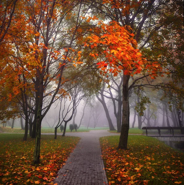 Niebla misteriosa — Foto de Stock