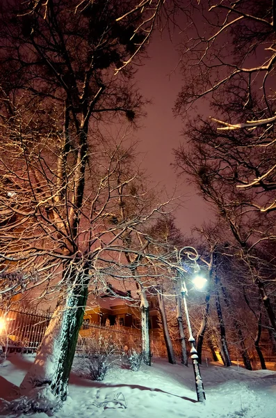 Lykta i parken på kvällen lyser — Stockfoto