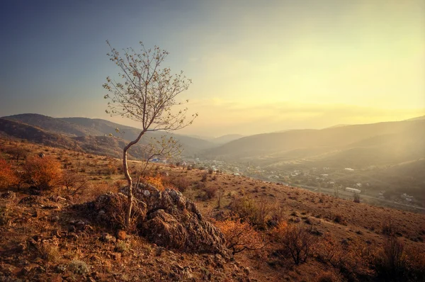 Mountain landscape in autumn — Stock Photo, Image