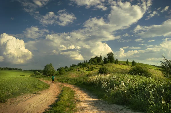 Ragazza che cammina sulla strada vicino al campo Foto Stock