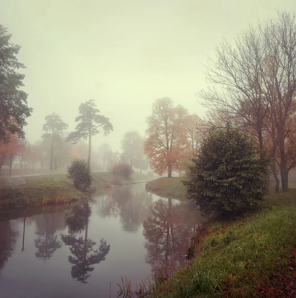 神秘的な霧 — ストック写真
