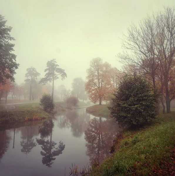 Geheimnisvoller Nebel — Stockfoto