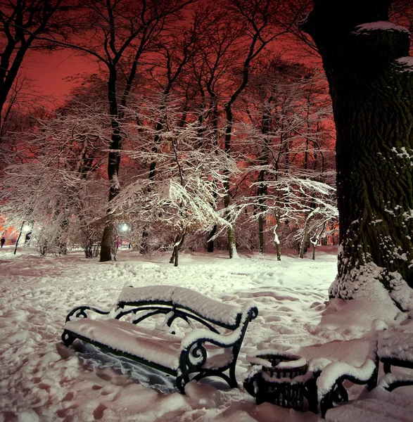 Negozio sulla neve in un parco nella notte d'inverno Foto Stock Royalty Free