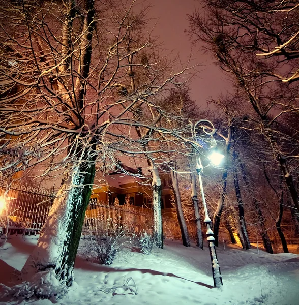 Parco invernale innevato di notte Immagine Stock
