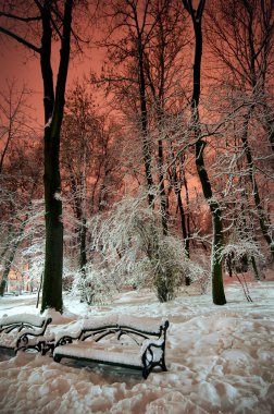 kar kış bir parkta Dükkanı