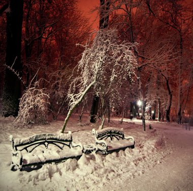 karlı kış Parkı'nda gece