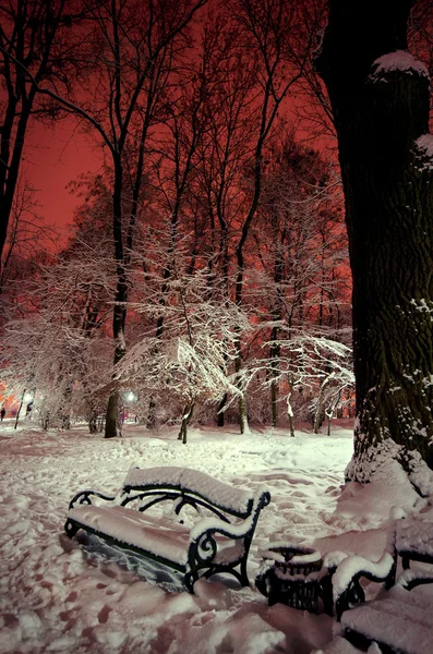 Parque de inverno nevado à noite — Fotografia de Stock