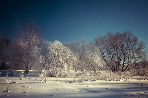 Frosty winterdag — Stockfoto