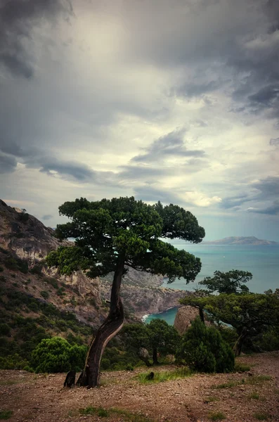 Paisaje valle de montaña sobre el mar —  Fotos de Stock