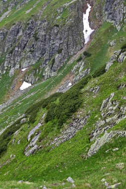 Chopok görüntülemek