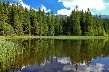 Vrbicke pleso