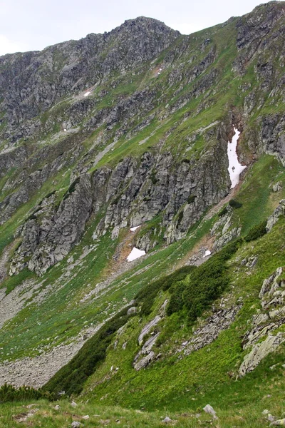 Blick vom Chopok — Stockfoto