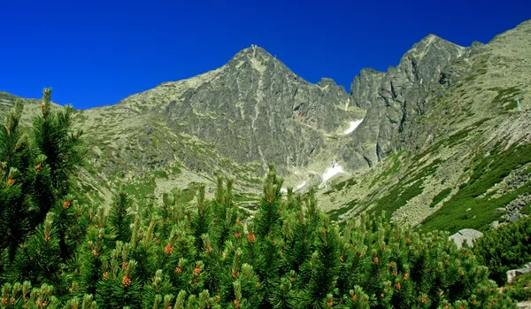 Esfoliação em High Tatras — Fotografia de Stock