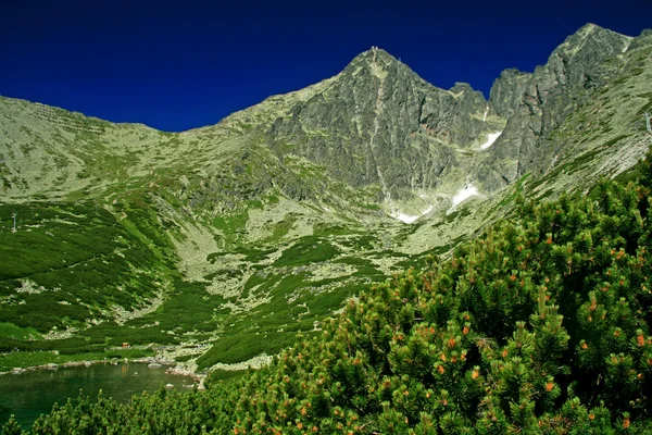 Skalnaté pleso — Zdjęcie stockowe